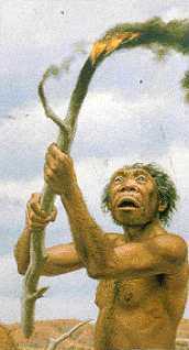 20051120232836-cromagnon.jpg